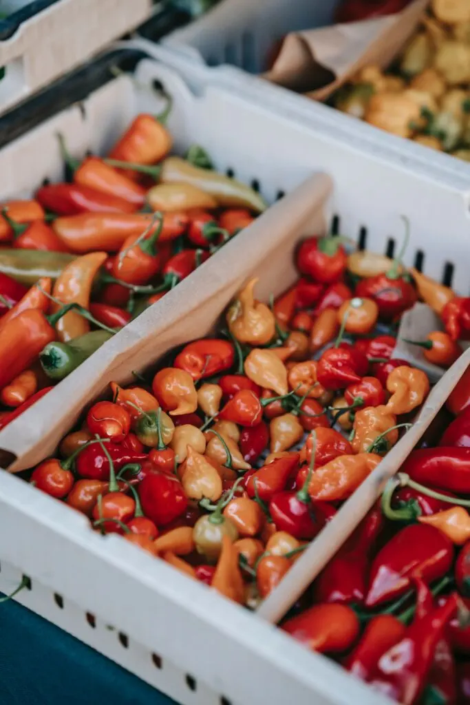 eco shops in kensington